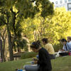 Temple Campus